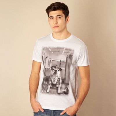 St George by Duffer White boxing dog t-shirt