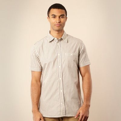 Green contrast striped shirt                                                                                                    