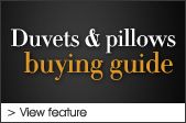 Buying Guide - Duvet & Pillows