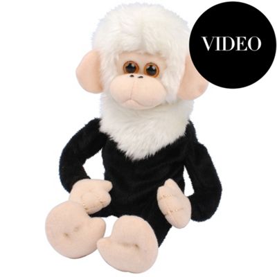 Dave the Funky Monkey