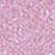 Light Pink Lilac