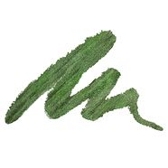 mildew