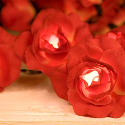Red rose string lights
