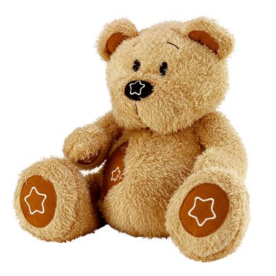 Early Learning Centre Talking ted soft toy
