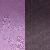 black currant