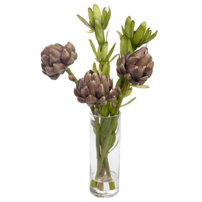 Artichoke arrangement
