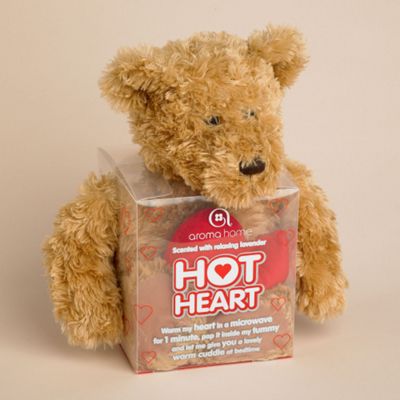 Hot hugs heart bear