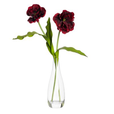 Red tulips in bud vase