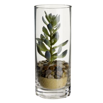 Clear tree cylinder vase