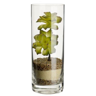 Clear flower cylinder vase