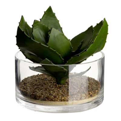 Clear flower round vase