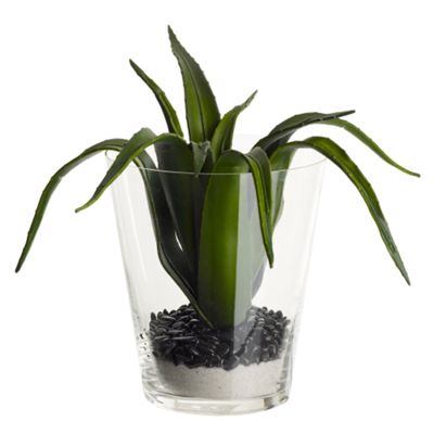 Clear flower cylindrical vase