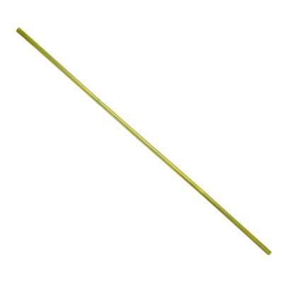 Green bamboo stick