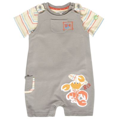 Babys grey crab print t-shirt and bibshort set