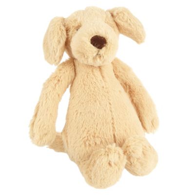 Jelly Kitten Bashful small Labrador beanie soft toy