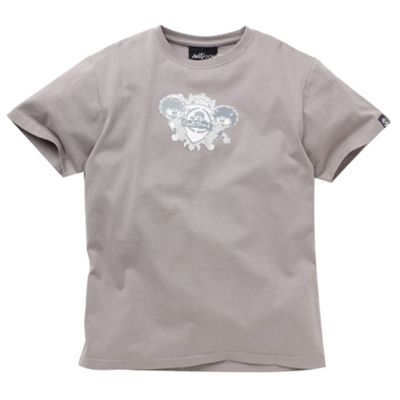 Saltrock Boys grey Campervan t-shirt