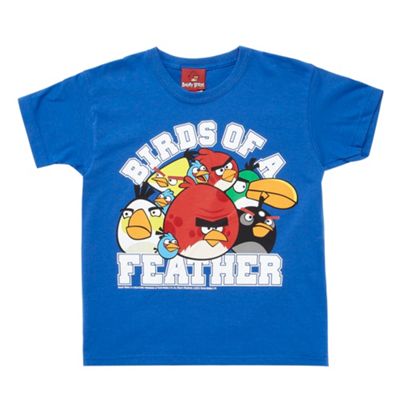 Boys blue Birds of a feather slogan t-shirt