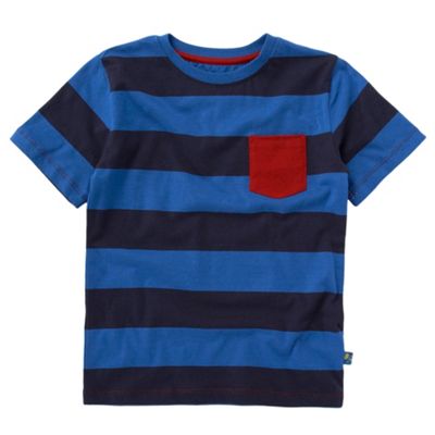 Bluezoo Boys green block stripe t-shirt