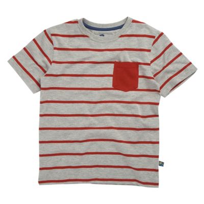 bluezoo Boys grey striped t-shirt