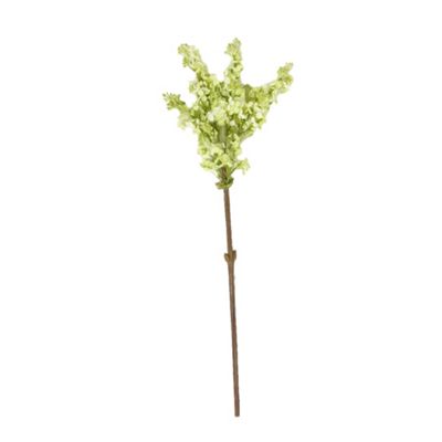 Green Lilac Flowers