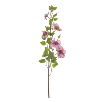 Purple long stem fabric clematis