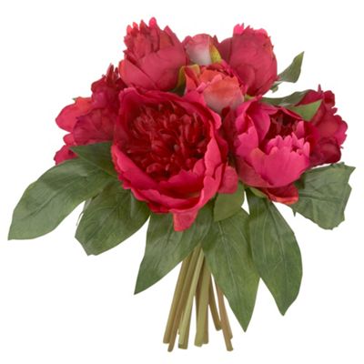 Dark pink fuchsia peony set