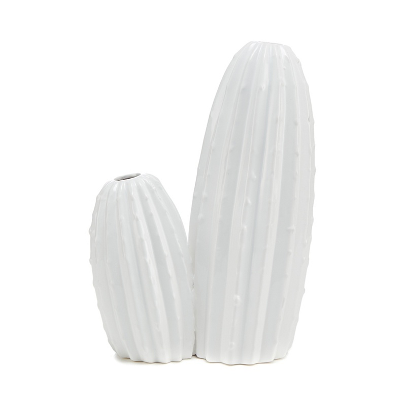 Parlane - White Ceramic Cactus Vase Review