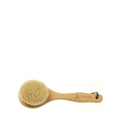 Body brush with handle