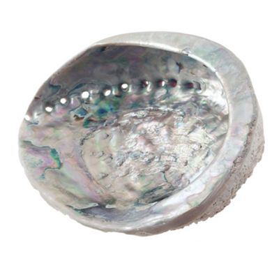 Hydrea London Decorative shell soap dish