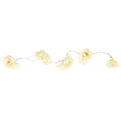 Cream rose lights