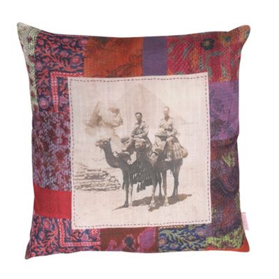 Multi coloured Camel cushion