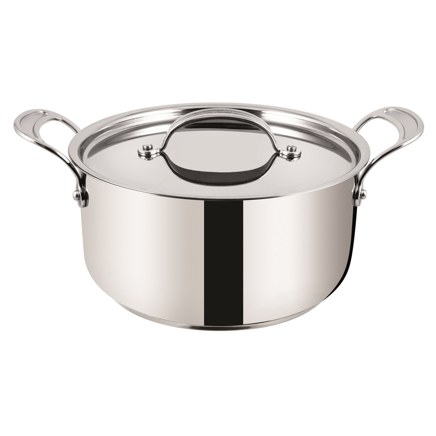 Jamie Oliver By Tefal Stainless Steel professional series stew pot with lid 24cm