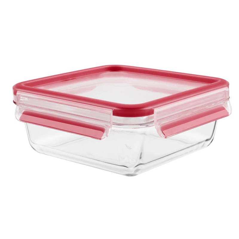 Tefal - 'Masterseal Glass Fresh' Square Food Storage Container 0.9L Review