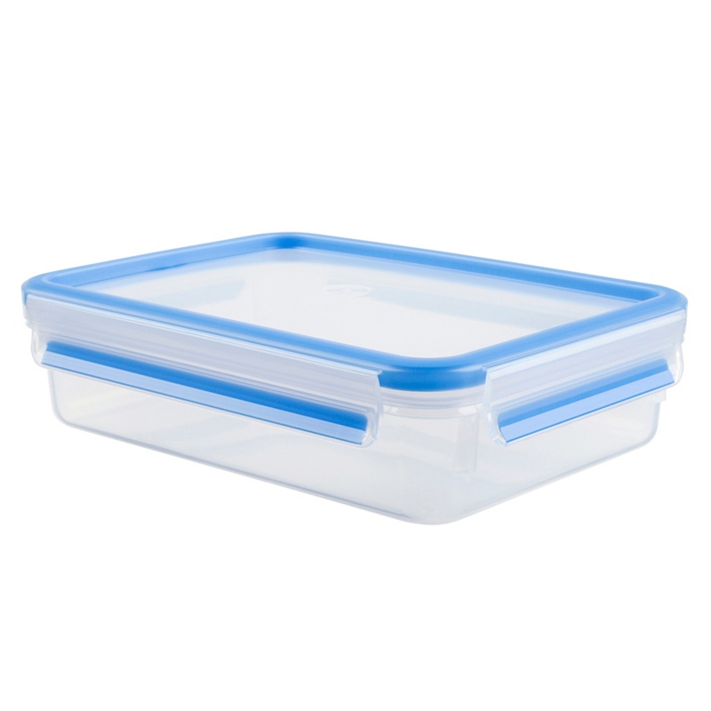 Tefal - 'Masterseal Fresh' Rectangular Food Storage Container 1.2L Review