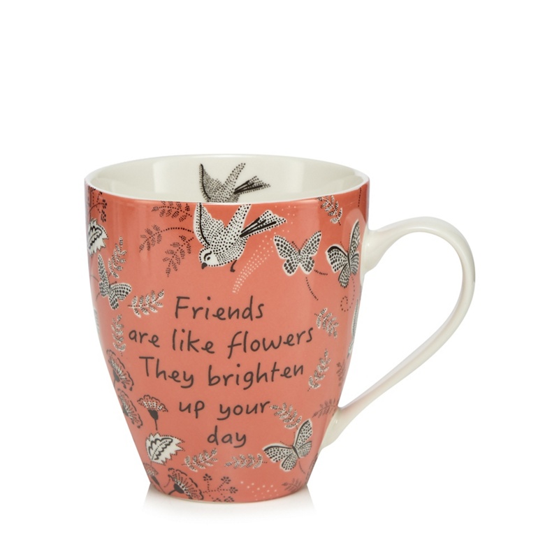 Home Collection - Coral 'Friends Are Like Flowers' Print Mug Review