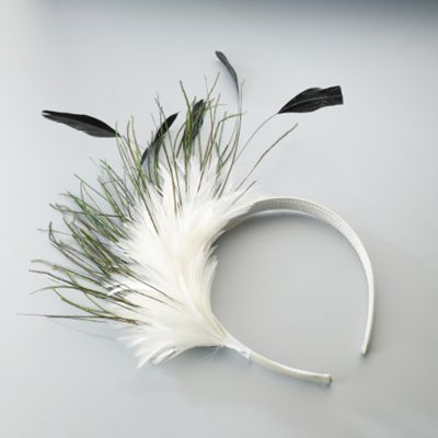 Feather Spray Headband