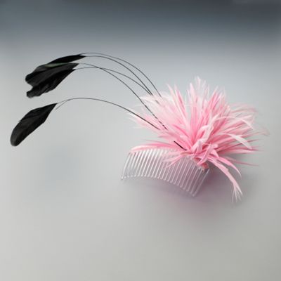 Pink & Black Feather Spray