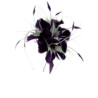 Feather Fascinator