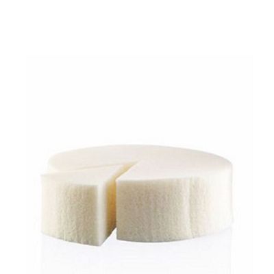 Wedge Sponge