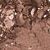 Mulch