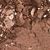 Texture