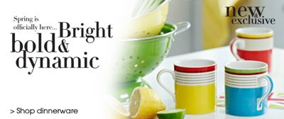 Shop dinnerware