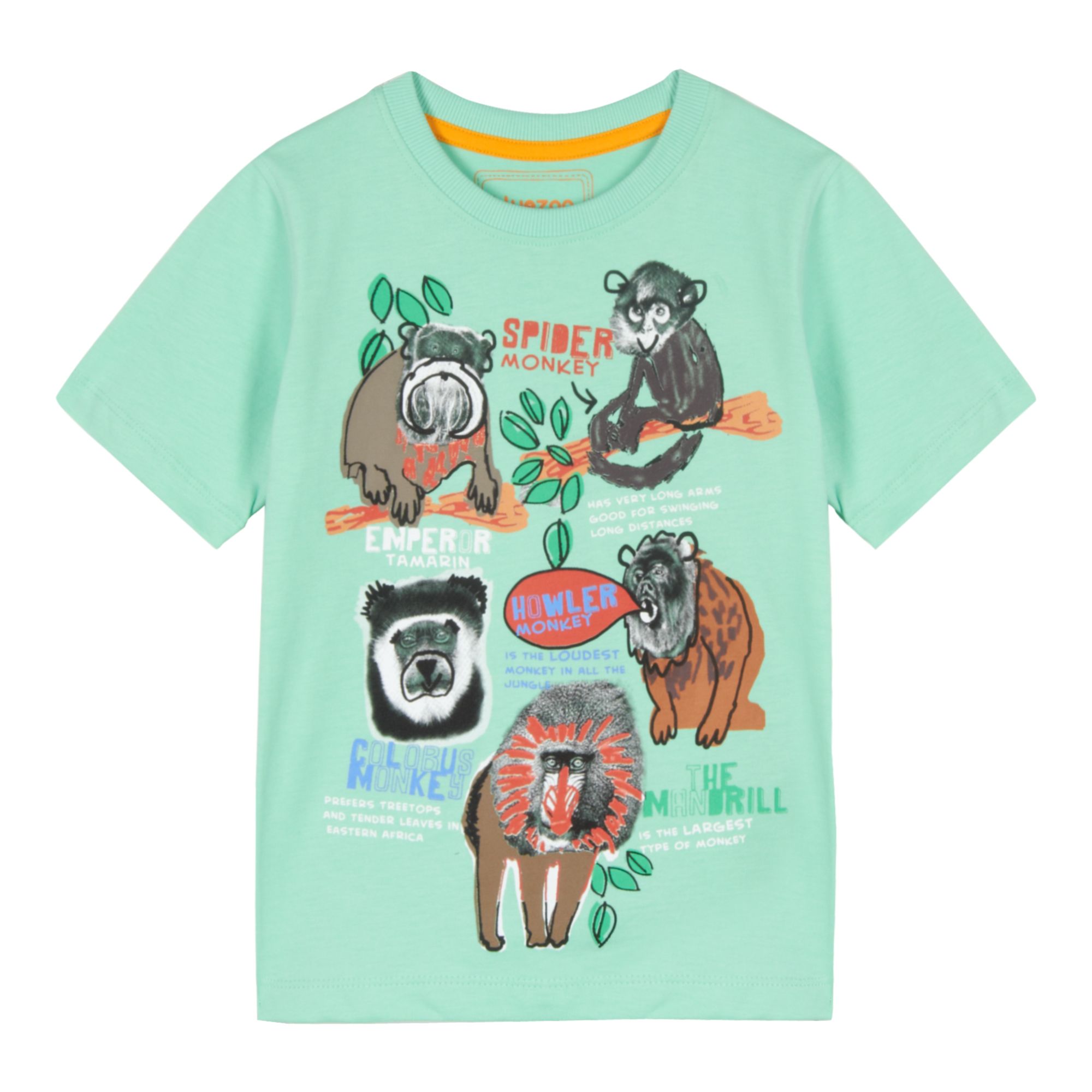 Bluezoo Kids Boy's Green Monkey Print T-Shirt From Debenhams