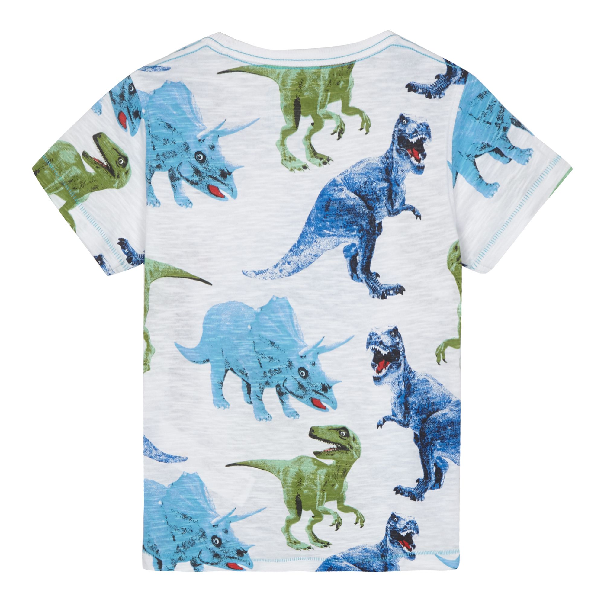 Bluezoo Kids Boys' White Dinosaur Print T-Shirt From Debenhams | eBay