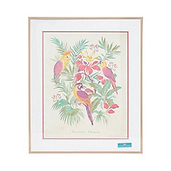 Butterfly Home by Matthew Williamson - Parrot wall art and frame