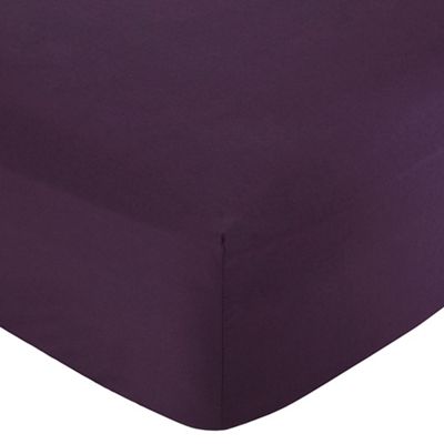 Home Collection - Plum cotton rich percale fitted sheet