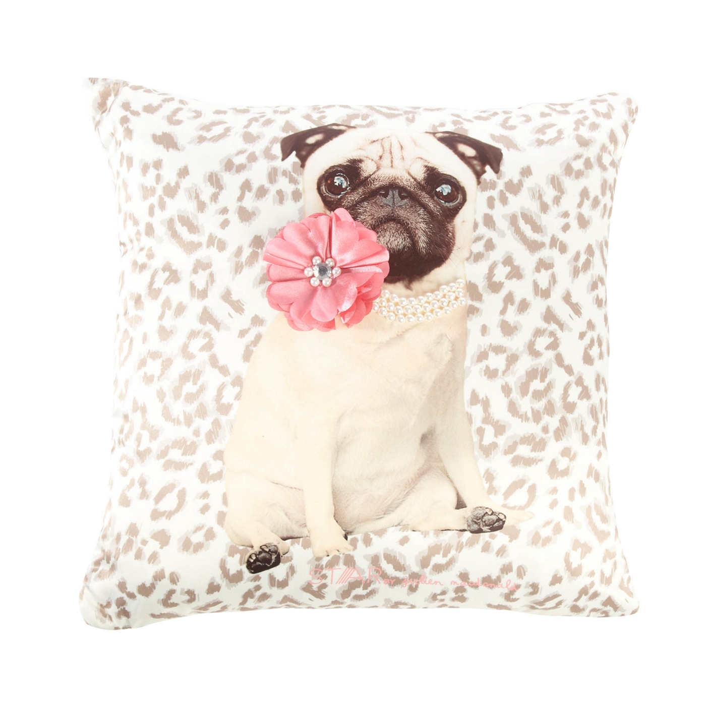 Star by Julien Macdonald Designer Coco Dog Cushion Cream