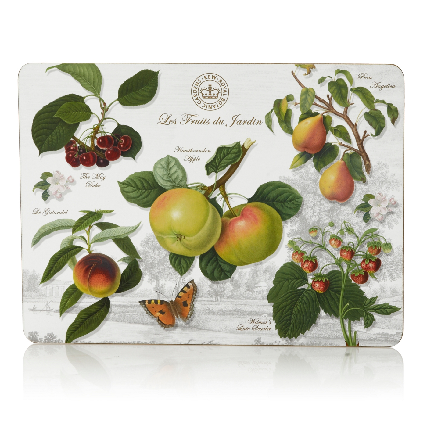 Creative Tops Set of six white fruit motif rectangular place mats