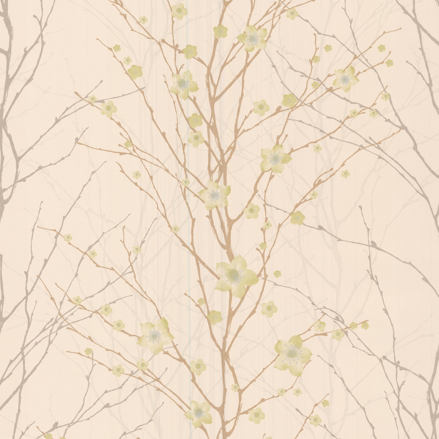 Graham & Brown Green/cream Vitality Floral wallpaper